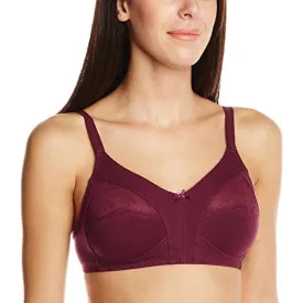 Amante Non-Padded Non-wired Full Cup Bra (BFOM21Maroon34D_Maroon_34D)