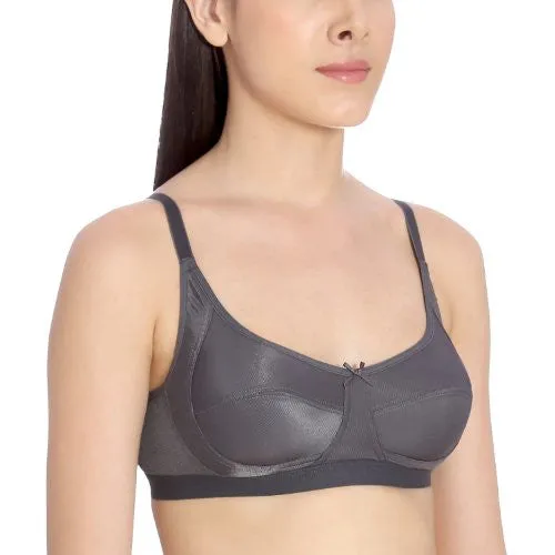 Amante Non-Padded Non-wired Full Cup Bra (BFOM25GYC38_Grey_38C)